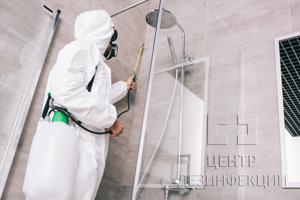 Санитарная обработка от тараканов в квартире  в Домодедове